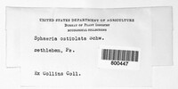 Image Associated With the Occurence